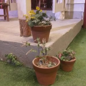 pot di rumah Kusakabe