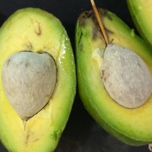 alpukat matang dengan menggunakan tisu (kiri) dan dengan menggunakan tusuk gigi (kanan)