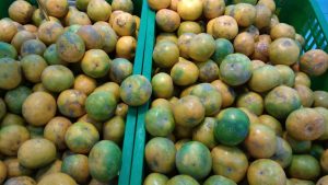 foto hasil kamera Xiaomi Redmi 5A