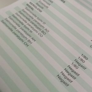 hasil pemeriksaan darah negatif