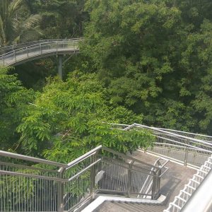 pintu keluar dari Forest Walk, The Southern Ridges pintu keluar dari Forest Walk, The Southern Ridges