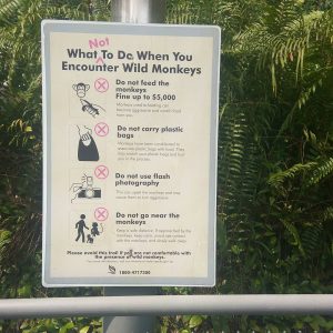 papan peringatan di Forest Walk, The Southern Ridges papan peringatan di Forest Walk, The Southern Ridges