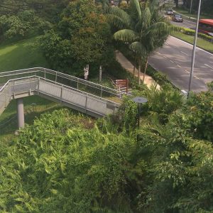 tangga naik ke Alexandra Arch Bridge tangga naik ke Alexandra Arch Bridge