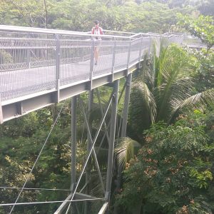 jembatan baja Forest Walk di atas pohon