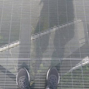 jembatan baja Forest Walk, The Southern Ridges jembatan baja Forest Walk, The Southern Ridges