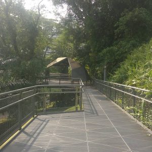 jembatan Forest Walk, The Southern Ridges jembatan Forest Walk, The Southern Ridges