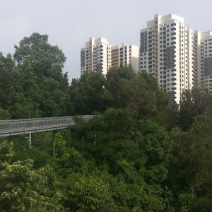 gedung terlihat dari Forest Walk, The Southern Ridges gedung terlihat dari Forest Walk, The Southern Ridges