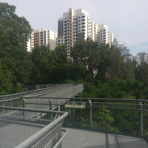 jembatan Forest Walk
