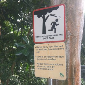 papan peringatan di Forest Walk, The Southern Ridges papan peringatan di Forest Walk, The Southern Ridges