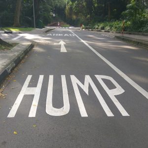 IMG_20180501_123115.jpg IMG_20180501_123115.jpg