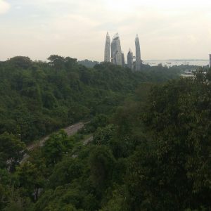 pemandangan dari atas jembatan Henderson Waves pemandangan dari atas jembatan Henderson Waves