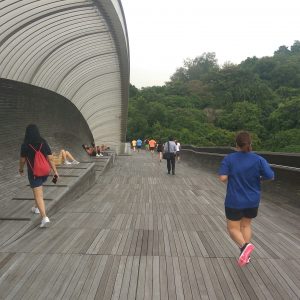 pengunjung dan warga Singapura melintasi Henderson Waves