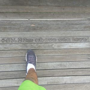 ketinggian jembatan Henderson Waves ketinggian jembatan Henderson Waves