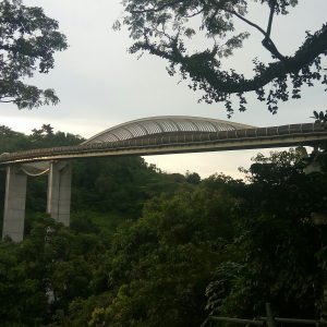 Henderson Waves dari Henderson Rd