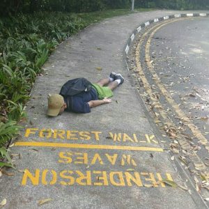 jalan dari Forest Walk ke Henderson Waves di Telok Blangah Hill Park