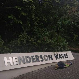 papan petunjuk Henderson Waves papan petunjuk Henderson Waves