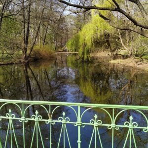 melewati danau kecil di Tiergarten