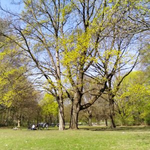 piknik di taman Tiergarten, Berlin