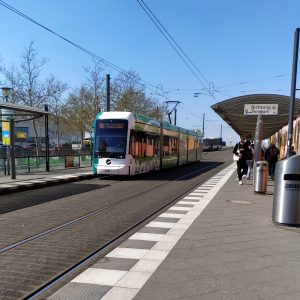 Tram Vip Potsdam