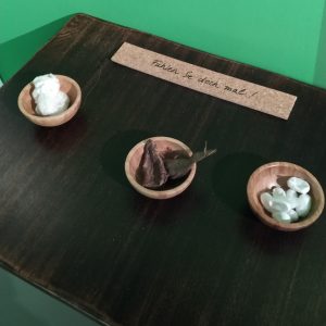 peraga kepompong sutera peraga kepompong sutera