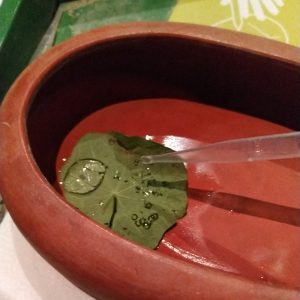 simulasi antiair dari daun talas simulasi antiair dari daun talas