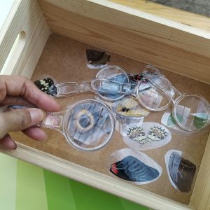 alat peraga potongan sayap kupu-kupu alat peraga potongan sayap kupu-kupu