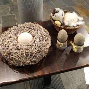 telur dari berbagai hewan untuk perbandingan telur dari berbagai hewan untuk perbandingan