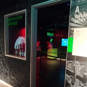 area Laser Maze