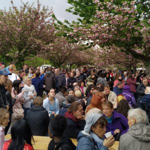 pengunjung Kirschblütenfest Hanami 2019t