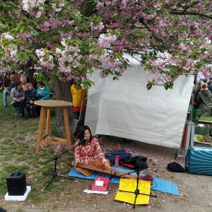 penampilan seniman memainkan Koto penampilan seniman memainkan Koto