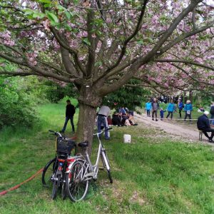 sepeda di Kirschblütenfest Hanami 2019 sepeda di Kirschblütenfest Hanami 2019