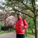 Menikmati Mekarnya Sakura di Berlin, Jerman