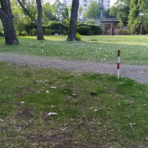 serbuk sari bertebaran di taman