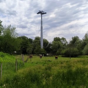 tiang kereta gantung di Gärten der Welt tiang kereta gantung di Gärten der Welt