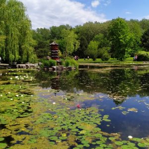 pagoda di tengah danau Cermin Langit pagoda di tengah danau Cermin Langit