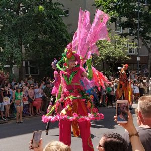 Sapucaiu No Samba Sapucaiu No Samba