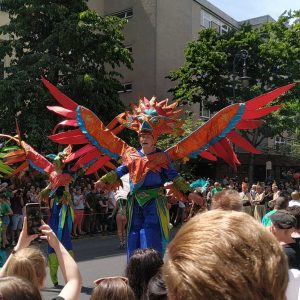 Sapucaiu No Samba Sapucaiu No Samba