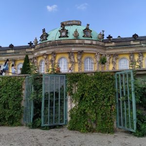 dinding berisi tanaman anggur dinding berisi tanaman anggur