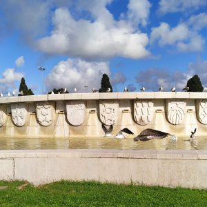 burung-burung camar bertengger di kolam Praça do Império