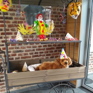 boneka dari karakter Martine boneka dari karakter Martine