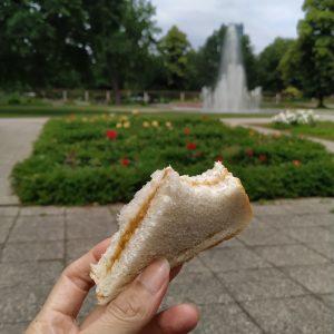 makan roti di taman mawar Treptower Park