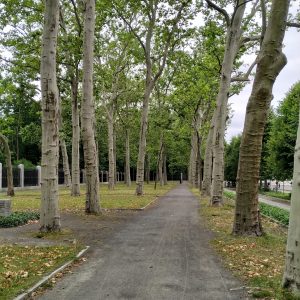 pepohonan di area monumen pepohonan di area monumen