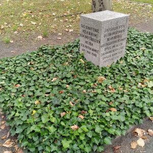 prasasti batu di pinggir lapangan prasasti batu di pinggir lapangan