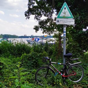sepeda dikunci di sebuah rambu taman