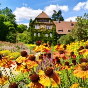 bunga warna-warni di Botanischer Garten