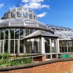 salah satu ruang rumah kaca di Botanischer Garten