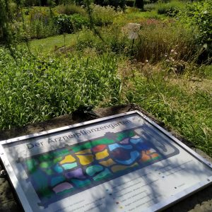 area tanaman obat di Arboretum
