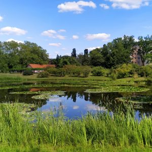 danau di Botanischer Garten