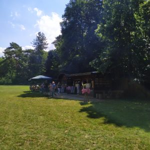 lapangan khusus untuk piknik
