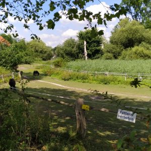 kandang kuda poni di Pulau Merak
